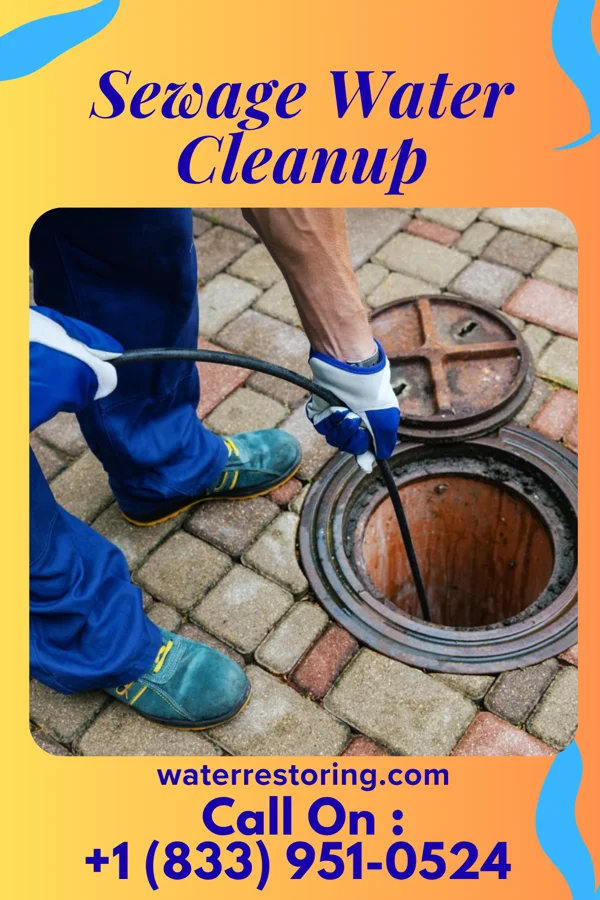 Sewage Water Cleanup in Gouglersville, PA